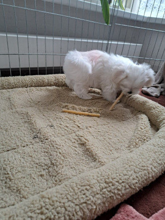  13-9-25 13.43 uur Graham had er al 1 extra gepikt ☺